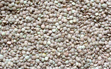 Lenticchie biologiche