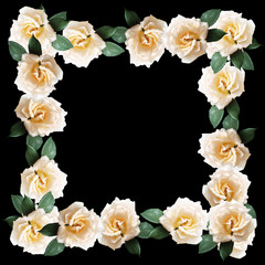 Beautiful floral background of cream roses 