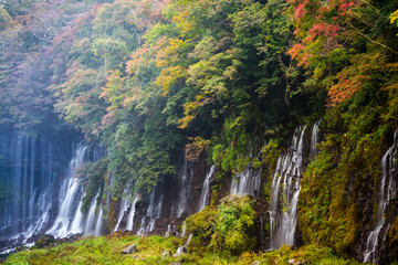 Autumn scene of Shiraito waterfall