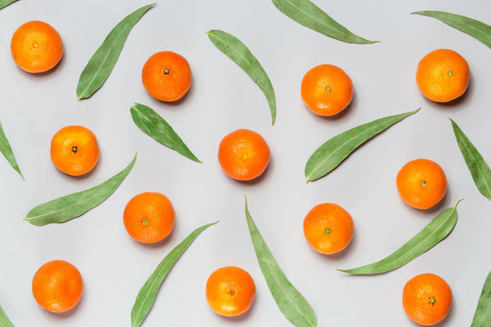 Christmas composition. Mixed fresh citrus fruits and eucaliptus leaves background Flat lay, top view