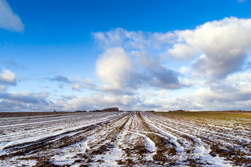 Podlaskie pola © podlaski49