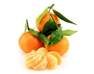clémentines corses sur fond blanc