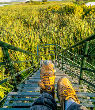 View from a machan in forest 