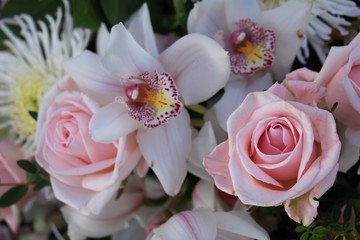 Obraz na płótnie Canvas Pink roses and Cymbidium orchids