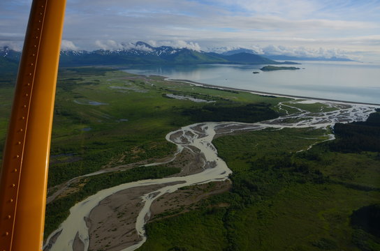Katmai national park hallo bay