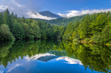 Naklejka premium nature