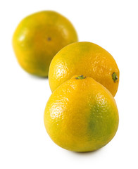 image of oranges on a white background