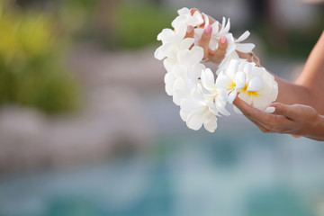 Woman hands holding Flower lei garland of white plumeria.
