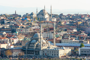 Fototapeta na wymiar Istanbul the capital of Turkey, eastern tourist city.