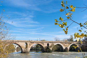Rome (Italy) - The Tiber river and the Milvio Bridge