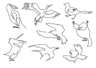 linear sketch birds silhouette set handdrawn