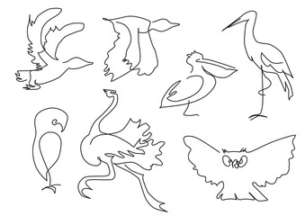 Obraz premium linear sketch birds silhouette
