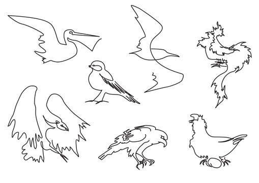 linear sketch birds silhouette