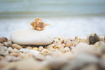 Fototapeta na wymiar Stack of pebble stones on the beach of the Adriatic Sea