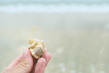 Close up image of female hand holding a seashell at the seaside