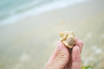 Close up image of female hand holding a seashell at the seaside