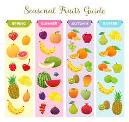 Seasonal fruits guide illustration. Vector illustration.