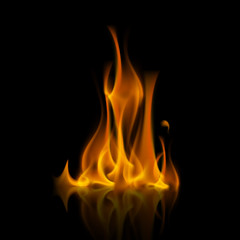 Vector Yellow Orange Fire Flame Bonfire  Isolated on Background