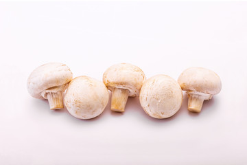 Five Organic Champignon Mushrooms in a Row