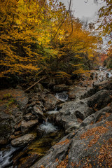 Obraz premium Waterfall at Sams Branch in Fall