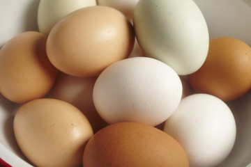 whole fresh eggs