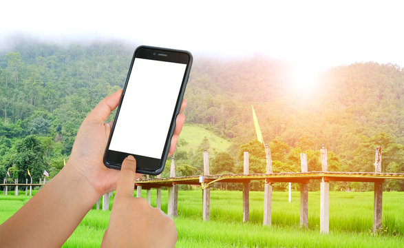 Smart phone in hand on bamboo bridge background.