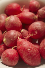 bowl of radishes