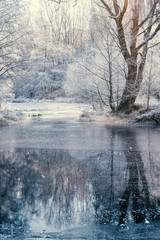 Gefrorene Winterlandschaft 