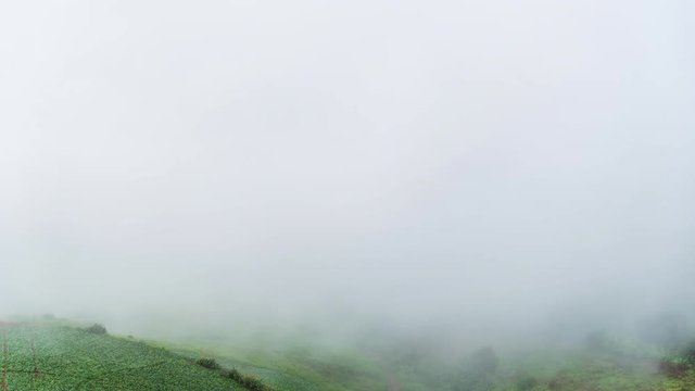 Mountain Landscape with mist and cloudscape