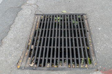 Fototapeta premium Metal drain cover