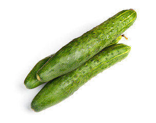 Fresh long cucumbers
