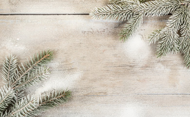 Wooden surface, spruce branch sprinkled with snow