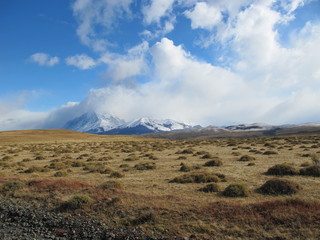 Torres del Paine National Park - Chilean Patagonia