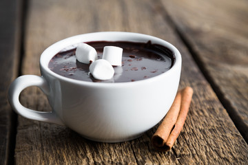 A mug of hot chocolate with cinnamon