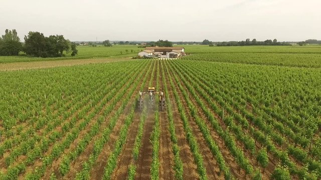 survol de vignobles dans le Bordelais