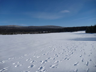 Fototapeta na wymiar winter in jizerske hory ridge in czech republic