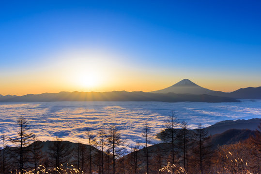 Fototapeta 雲海に浮かぶ富士山と日の出 