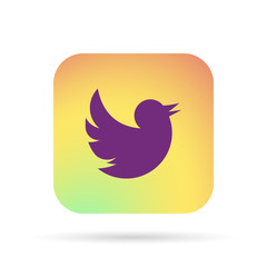 icon twiter