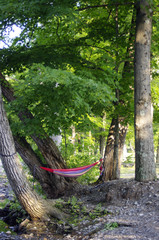 colorful hammock hanging in trees