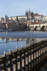 Obraz premium Autumn Lesser Town of Prague with gothic Castle and Charles Bridge, Czech Republic