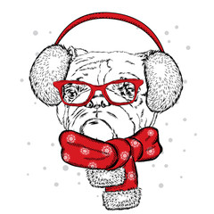 Obraz premium Bulldog in winter headphones. Vector illustration for a card or poster. Print on clothes. Cute puppy. Pedigree dog. Winter holidays. New Year's and Christmas.