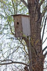 Bird House