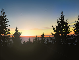 Silhouette of  coniferous forest, sea horizon and colorful sky. Sunset.