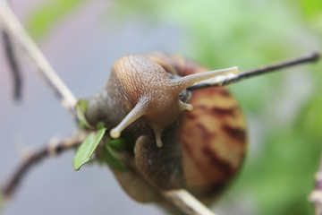 photos from insects, nature and wildlife