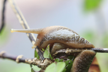 photos from insects, nature and wildlife