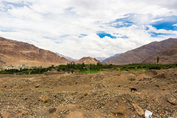 Natural landscape in Leh Ladakh