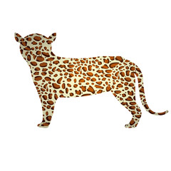 Jaguar icon. Animal nature life and fauna theme. Isolated design. Vector illustration