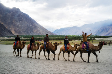Hunder Sand Dunes of Nubra Valley.