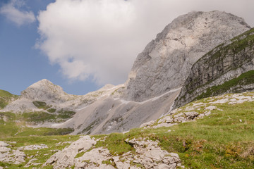 Beautiful Mountain Landscape At Summer