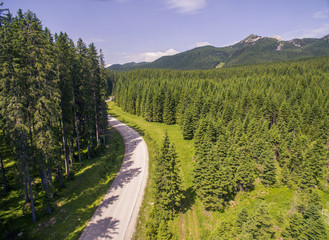 Aerial: Beautiful Mountain Valley Forest Landscape At Summer 